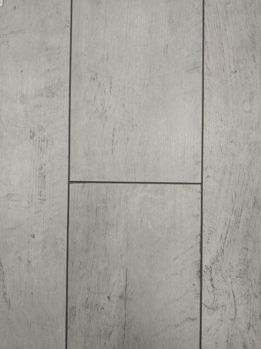 Дуб Легаци